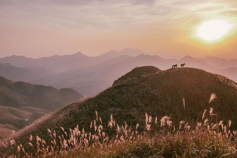 Tour Bình Liêu 2 ngày 1 đêm