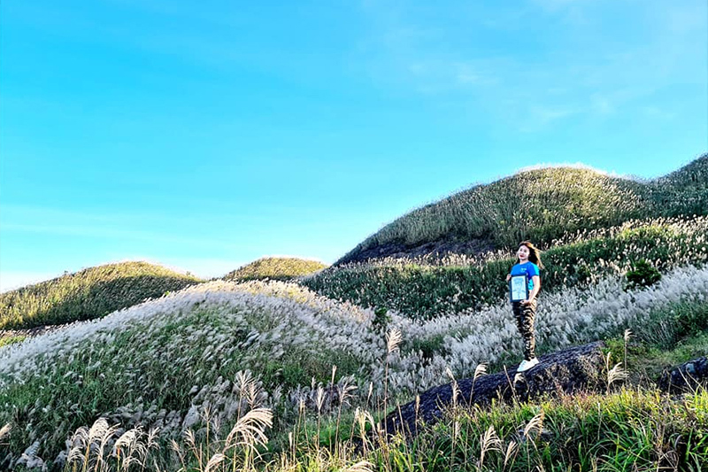 Bình Liêu mùa cỏ lau