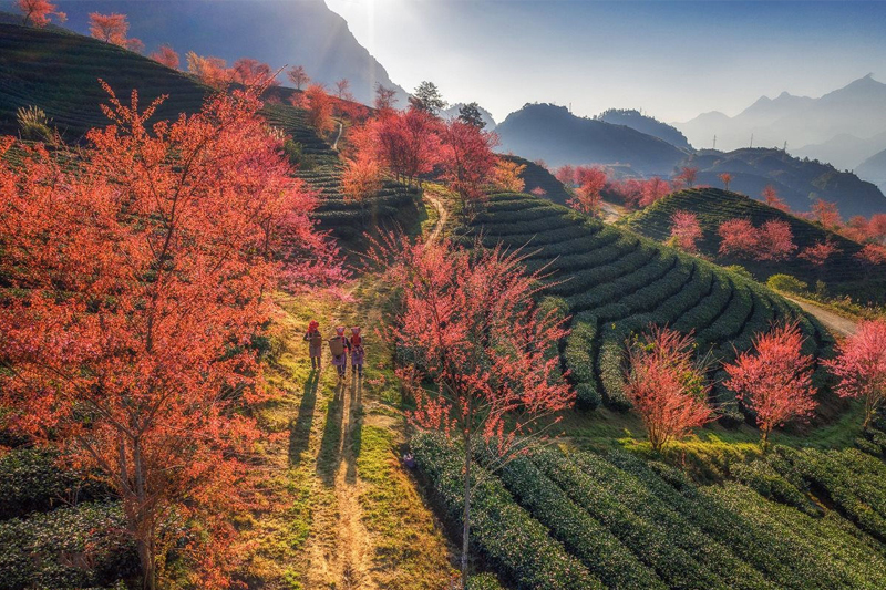 du lịch Sapa tháng 2