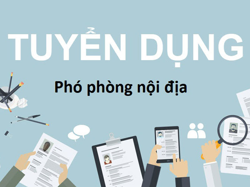 tuyển dụng phó phòng nội địa
