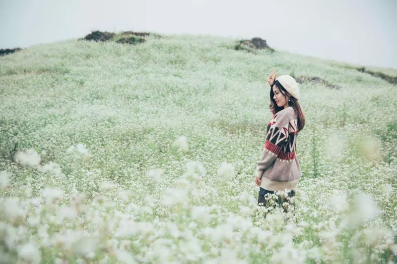 Điểm ngắm hoa cải Mộc Châu đẹp nhất