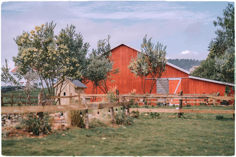 Điểm du lịch Đà Lạt dành cho trẻ em