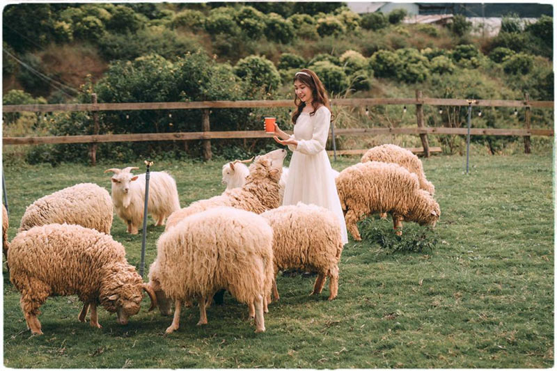 Điểm du lịch Đà Lạt dành cho trẻ em