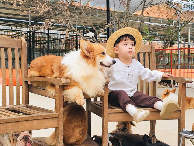 Điểm du lịch Đà Lạt cho trẻ em