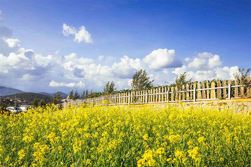 Điểm du lịch Đà Lạt cho trẻ nhỏ