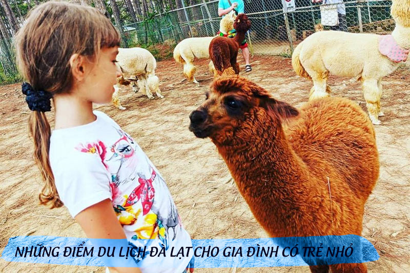 Điểm du lịch Đà Lạt cho trẻ