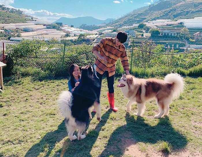 Các điểm du lịch Đà Lạt cho trẻ nhỏ