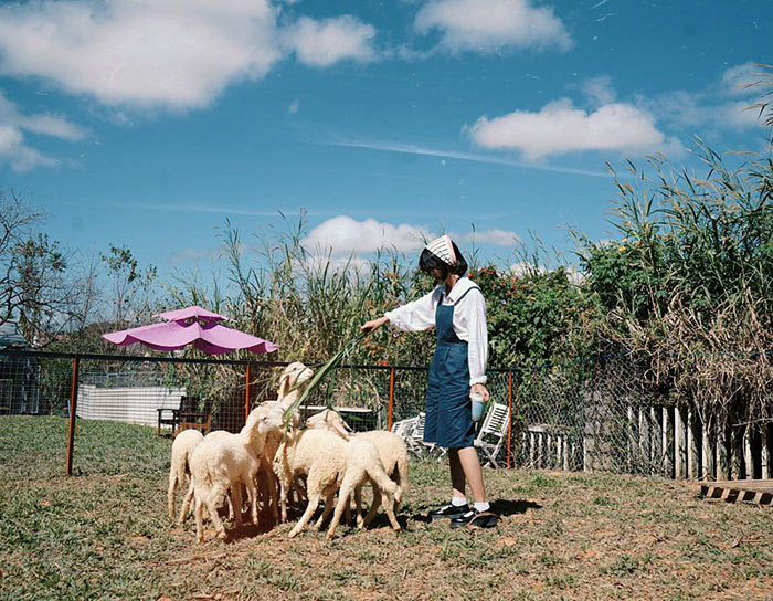 Các điểm du lịch Đà Lạt cho trẻ nhỏ