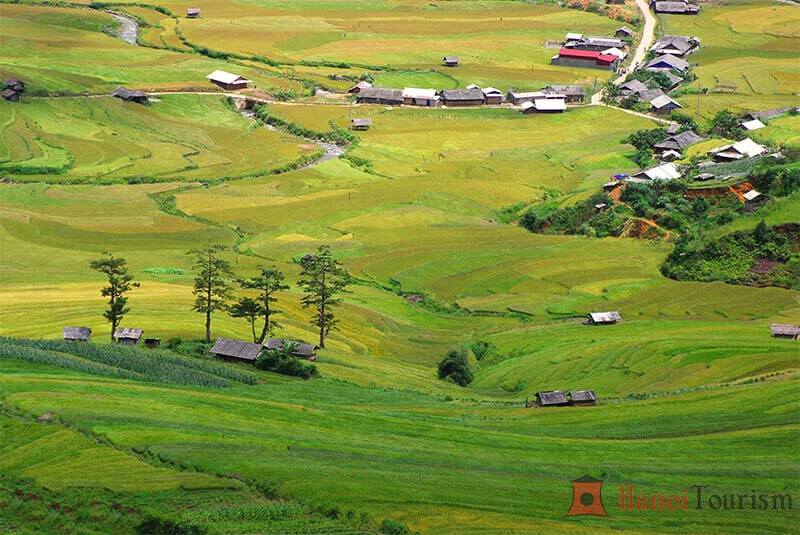 Điểm du lịch Mù Cang Chải đẹp - Bản Lìn Mông