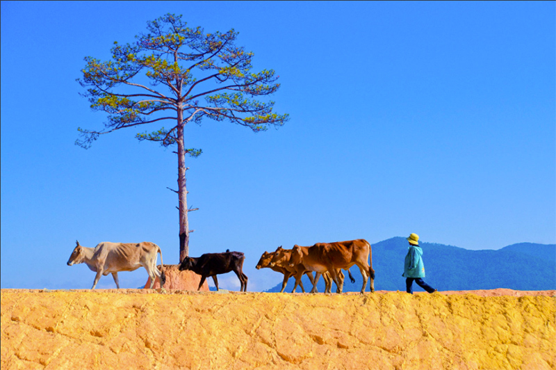 Danh sách các Điểm du lịch Tây Nguyên đẹp