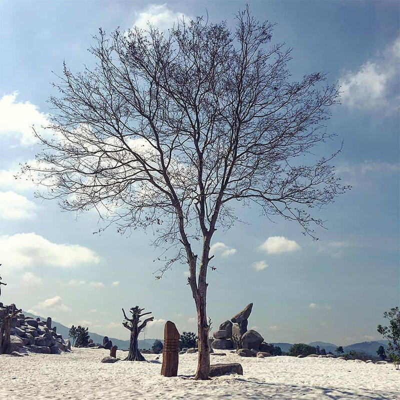 Các Điểm du lịch Tây Nguyên đẹp