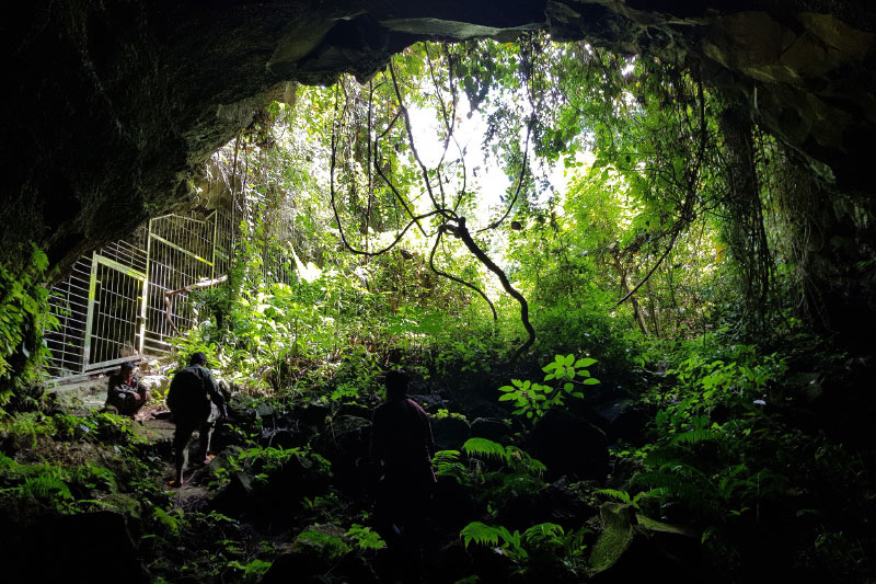 Hang Chư Bluk - Điểm du lịch Tây Nguyên đẹp