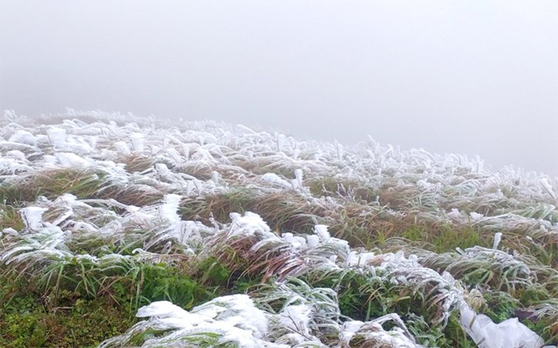 Điểm du lịch có tuyết ở Việt Nam 7