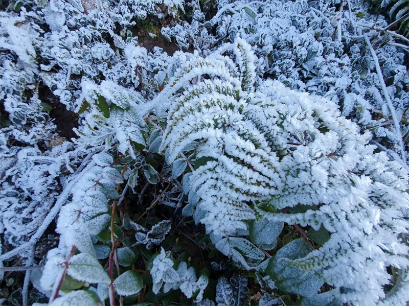 Điểm du lịch có tuyết ở Việt Nam 2
