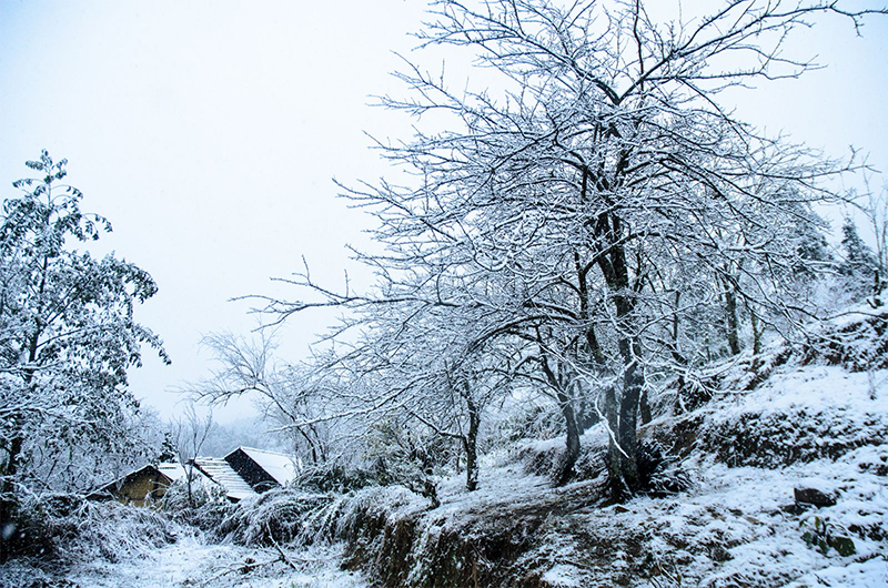 Điểm du lịch có tuyết ở Việt Nam
