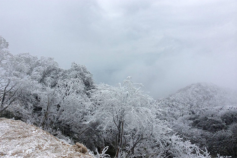Điểm du lịch có tuyết ở Việt Nam 2
