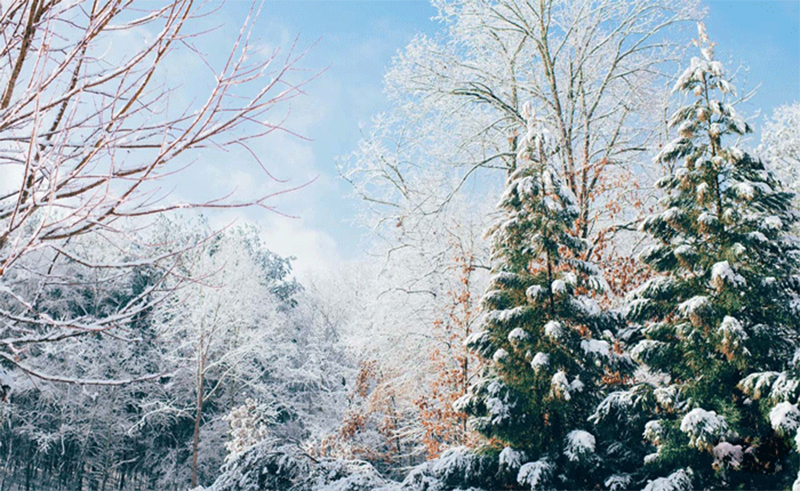 Điểm du lịch có tuyết ở Việt Nam 3