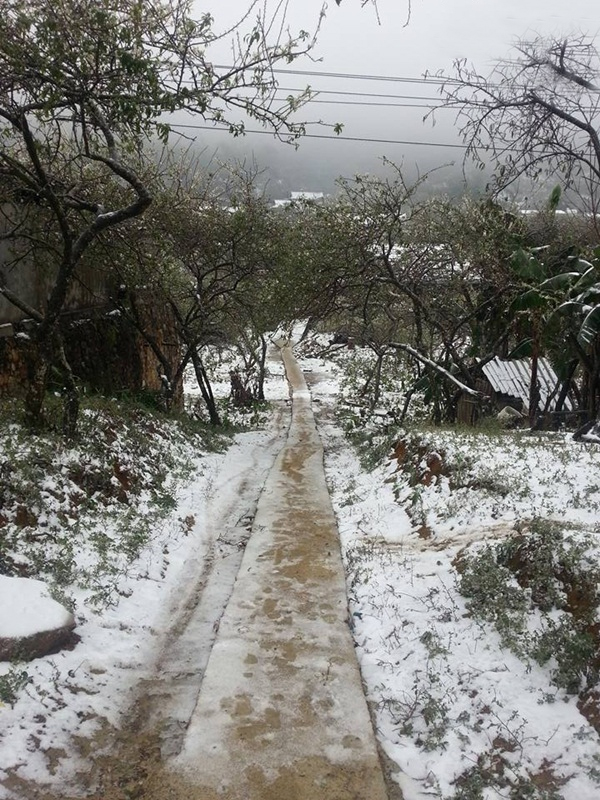 Điểm du lịch có tuyết ở Việt Nam 4