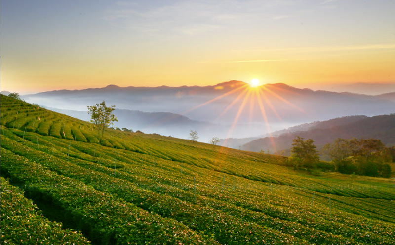 Điểm du lịch Đà Lạt 7