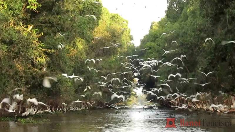 Điểm du lịch miền Tây đẹp - Tràm Chim