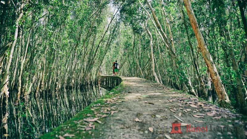 Các điểm du lịch miền Tây đẹp - Tân Lập