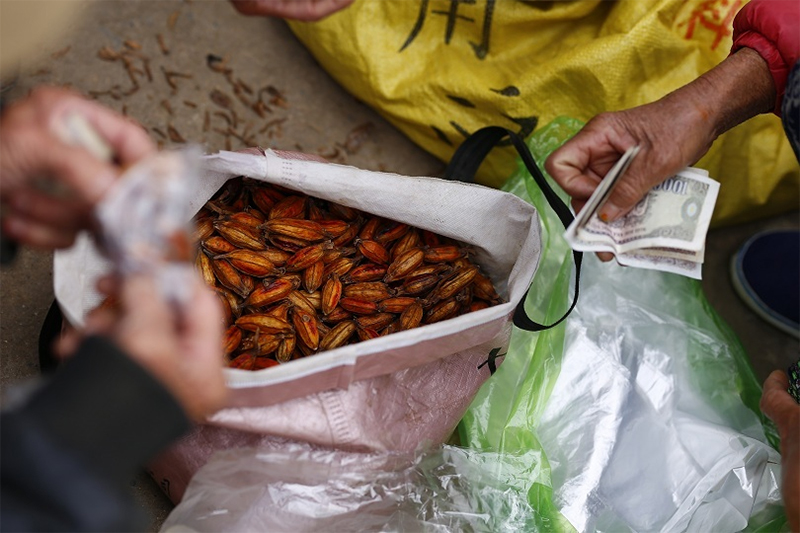 Du lịch Bình Liêu - Chợ phiên Bình Liêu