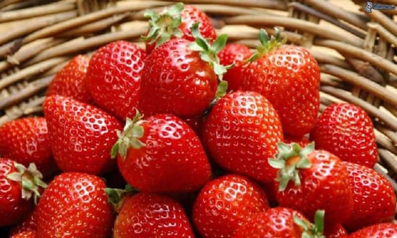 Du lịch Đà Lạt ăn gì?