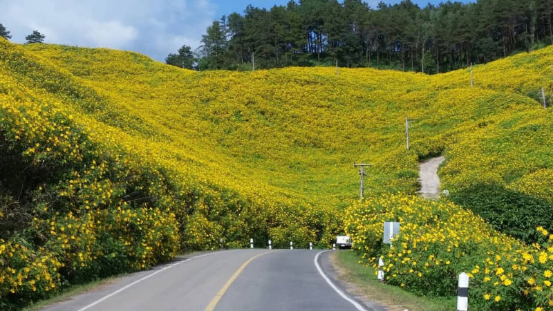 Du lịch Đà Lạt mùa nào đẹp nhất? 2021