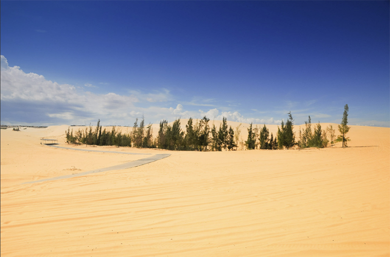 Du lịch Mũi Né mùa nào đẹp nhất?