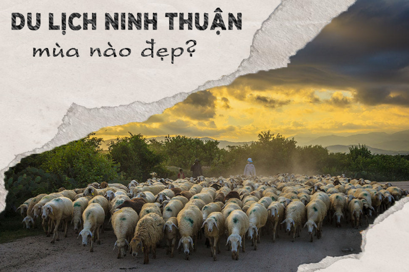 Nên du lịch Ninh Thuận tháng mấy?