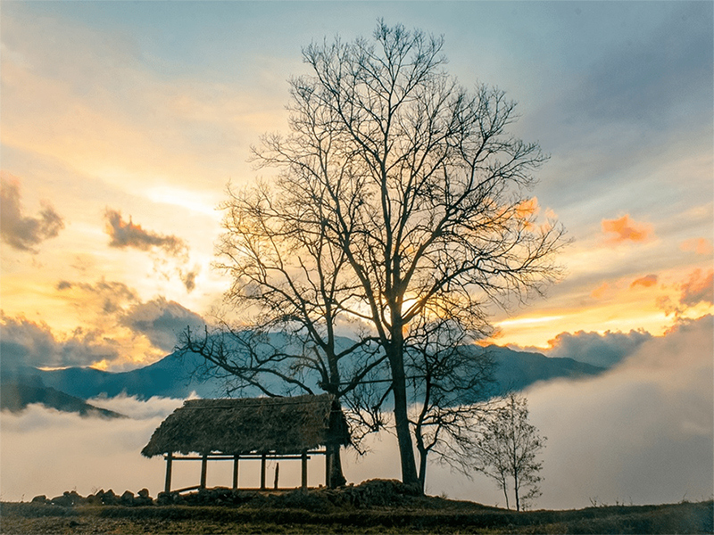 Kinh nghiệm du lịch Sapa tháng 12 cho người mới