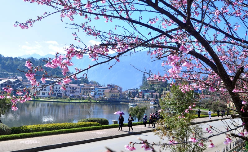 Kinh nghiệm du lịch Sapa tháng 2