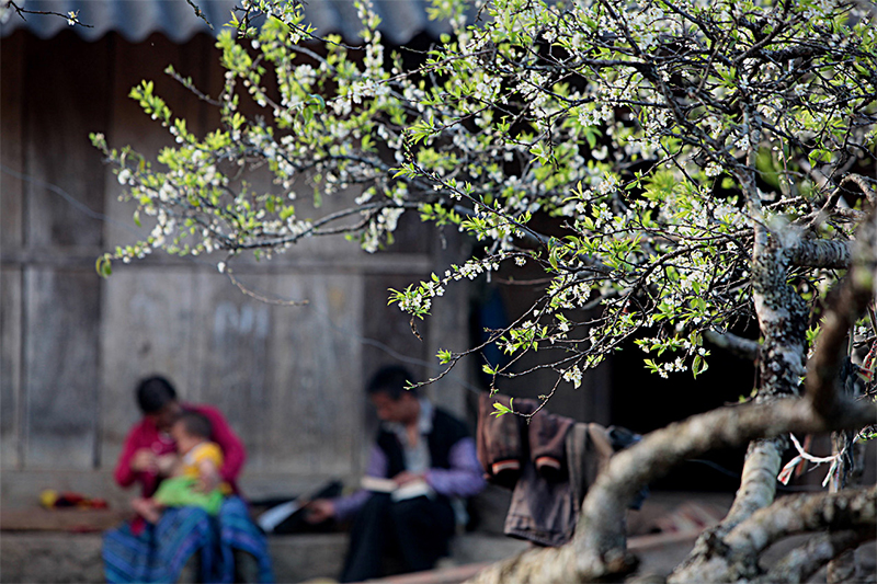 du lịch Sapa tháng 2 tết âm