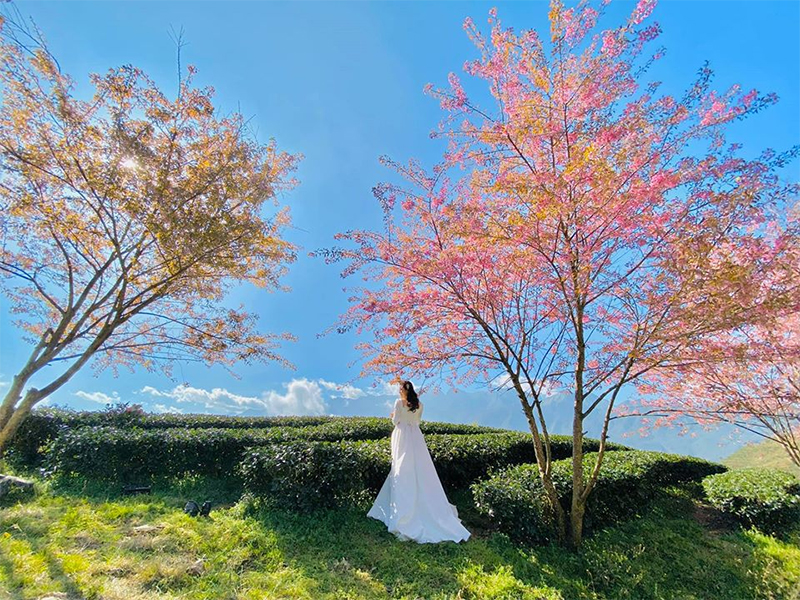 du lịch Sapa tháng 2 có gì?