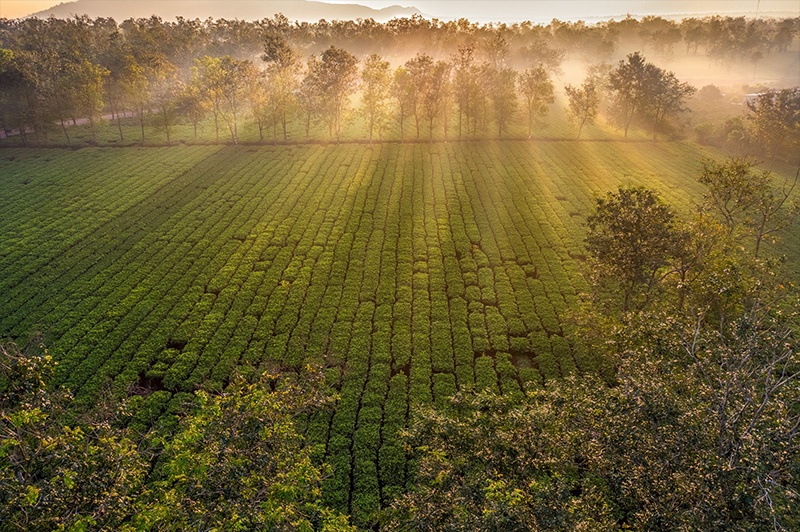 du lịch Tây Nguyên từ a-z