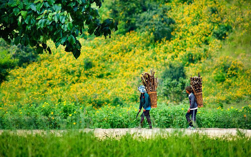 Đi du lịch Tây Nguyên thế nào?