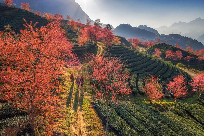 Du lịch Tết 2021 ở Sapa