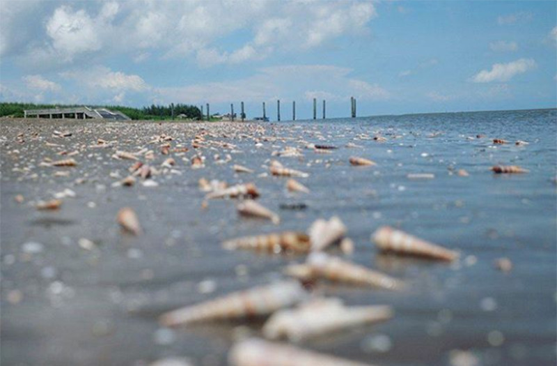 Kinh nghiệm du lịch Tiền Giang Bến Tre