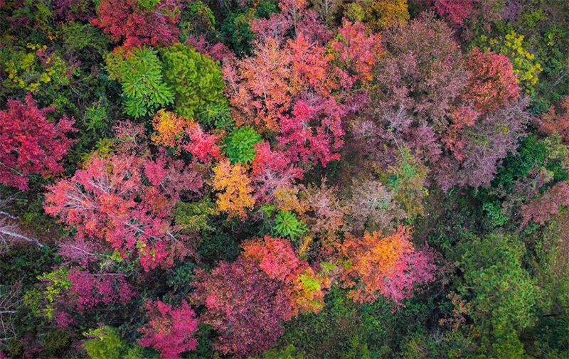 Du lịch Cao Bằng mùa nào đẹp 2021