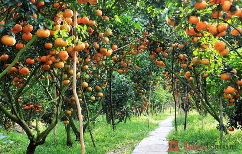 Du lịch miền Tây mùa nào đẹp?