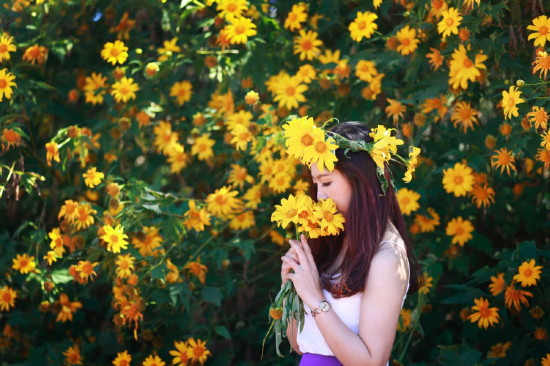 Du lịch mùa thu ở Đà Lạt