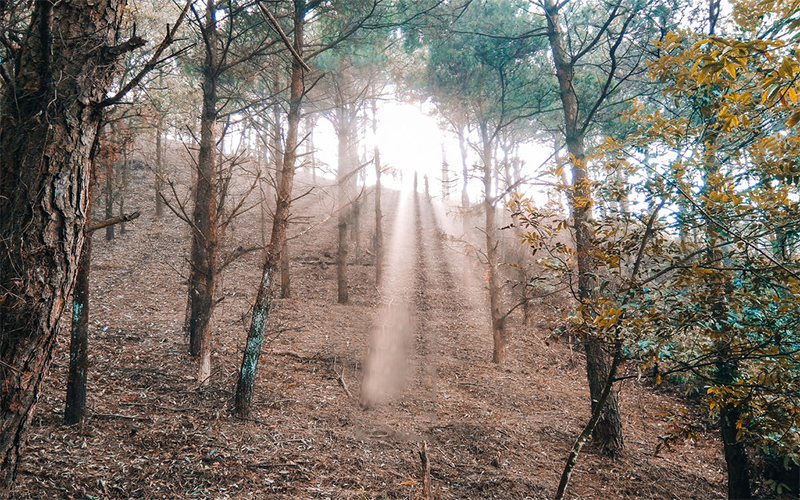 Điểm chơi Tết ở Hà Nội - Núi Hàm Lợn