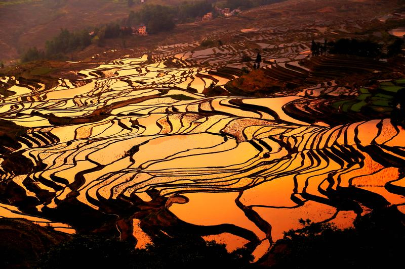 Mùa nước đổ ở Hoàng Su Phì Hà Giang