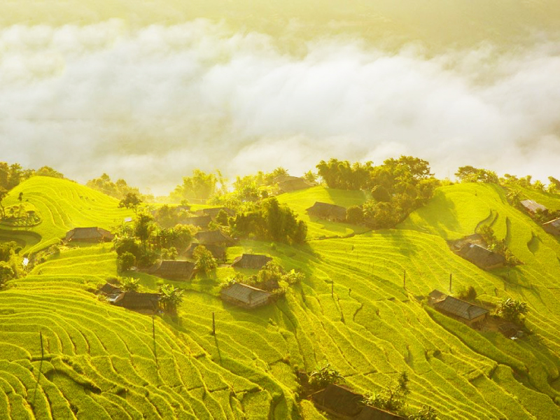 Hoàng Su Phì Hà Giang