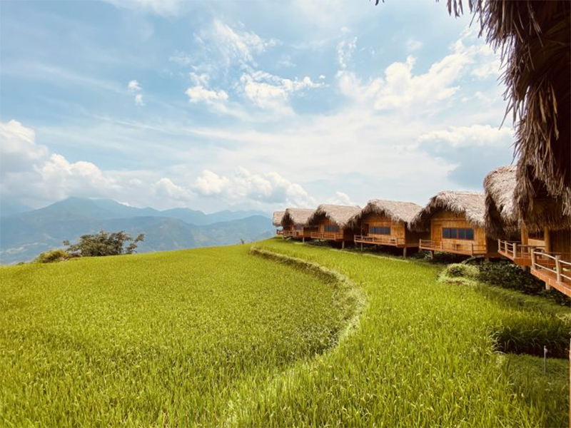 Check-in ở Hoàng Su Phì Hà Giang