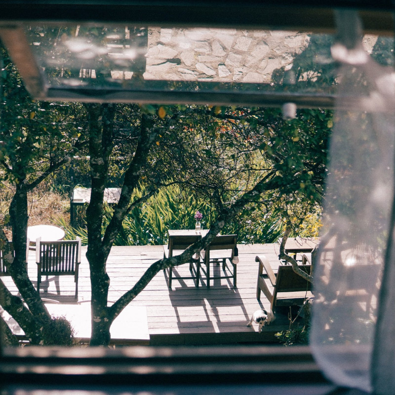 Các Homestay Đà Lạt đẹp nhất hiện nay