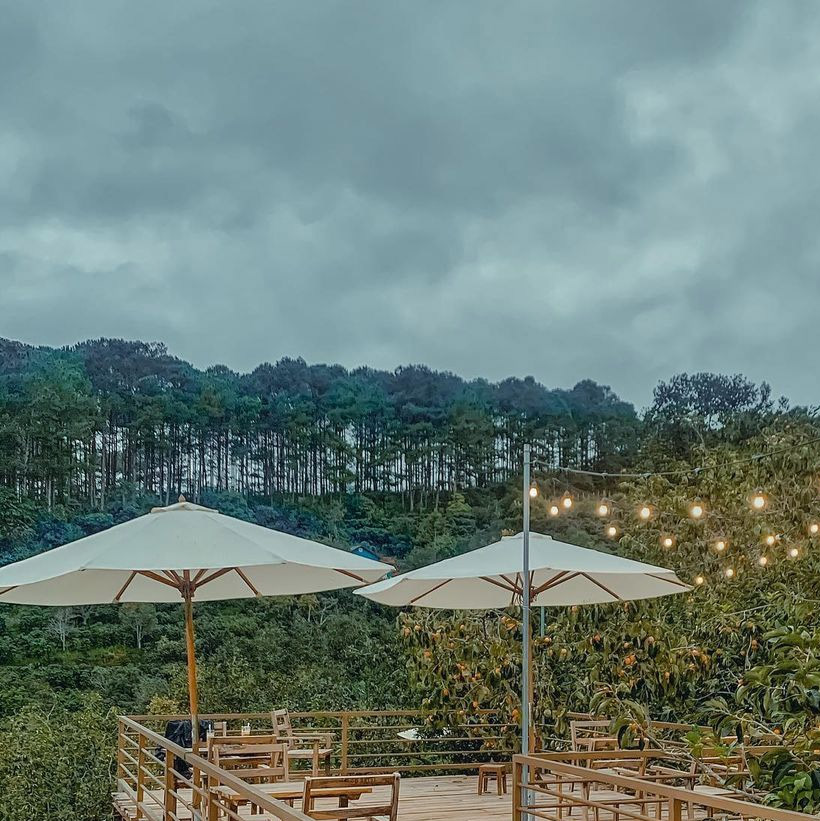 Những Homestay Đà Lạt đẹp 2020