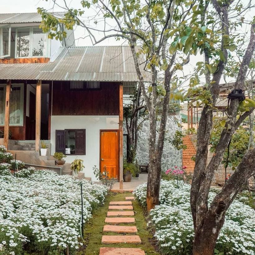 Những Homestay Đà Lạt đẹp