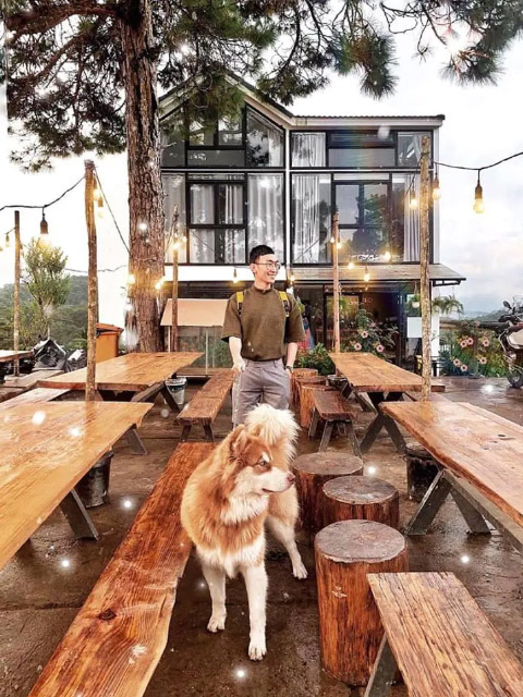 List các homestay Đà Lạt đẹp 2021 1