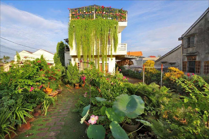 Homestay Hội An giá rẻ Skybird